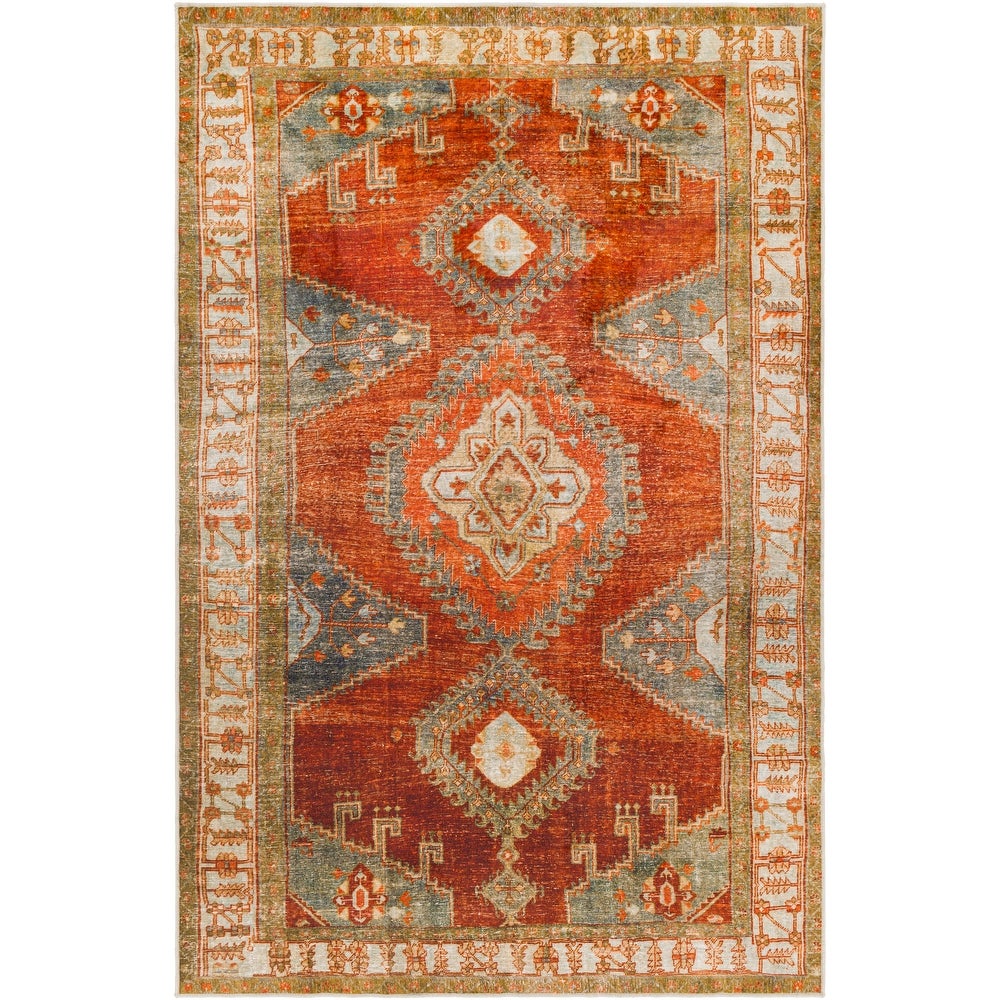 Persian Machine Washable Indoor/Outdoor Area Rug – Ashley Area Rugs