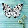 Eangee White Morpho Butterfly 11"W Capiz Shell Wall Decor