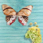 Eangee Butterfly 18"W Pearl and Brown Capiz Shell Wall Decor