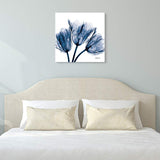 Blue Tulip X-Ray 24" Square Printed Glass Graphic Wall Art