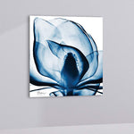 Blue Magnolia X-Ray 24" Square Printed Glass Wall Art
