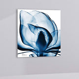 Blue Magnolia X-Ray 24" Square Printed Glass Wall Art
