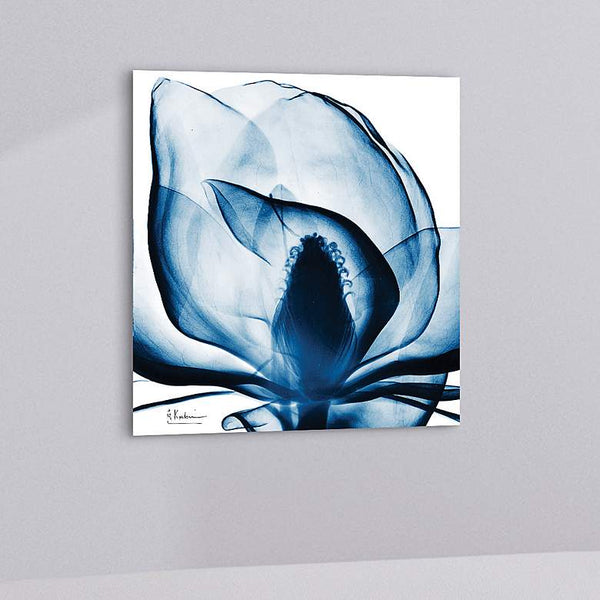 Blue Magnolia X-Ray 24" Square Printed Glass Wall Art