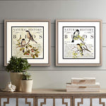 Botanical Birds 18" Square 2-Piece Framed Wall Art Set