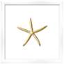 Gold Leafed Thin Starfish 16" Square Framed Wall Art