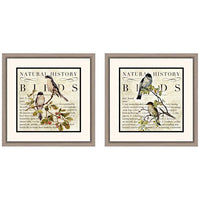 Botanical Birds 18" Square 2-Piece Framed Wall Art Set