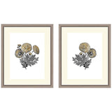 Botanical 22" High 2-Piece Framed Giclee Wall Art Set