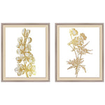 Botanical 23 1/2" High 2-Piece Framed Giclee Wall Art Set