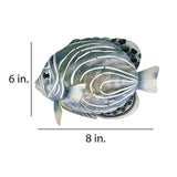 Eangee Koran Angelfish 8" Wide Capiz Shell Wall Decor