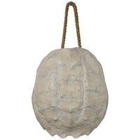 Regina Andrew Design 13" High  Turtle Shell Wall Art