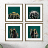 Cacti 17" Square 4-Piece Framed Wall Art Set