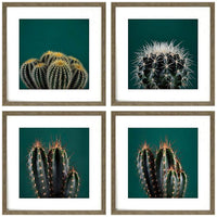 Cacti 17" Square 4-Piece Framed Wall Art Set
