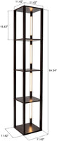FENLO Fancy Display Shelves with LED Floor Lamp