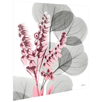 Eucalyptus Bush 2 24" Square Tempered Glass Graphic Wall Art