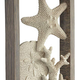 White Sands Gray Washed Starfish and Sand Dollar Table Lamp