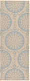 Floral Abstract Transitional Indoor Outdoor Flatweave Light Blue/ Beige Area Rug