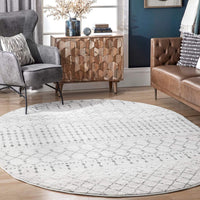 Premium Transitional Vintage Ivory Gray Area Rugs