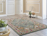 Persian Distressed Multi-color Area Rugs