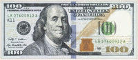 Hundred Dollar Bill Runner Rug, 22" x 53', Multicolor