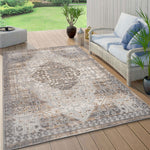 Distressed Traditional Indoor/Outdoor Area Rug