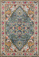 Persian Distressed Multi-color Area Rugs