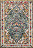Persian Distressed Multi-color Area Rugs