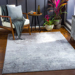 Choukri Modern Abstract Soft Area Rug Grey