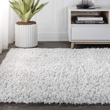 Aydin Plush Shag Mingled Gray/Ivory Soft Area Rug