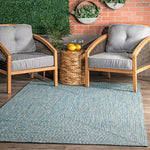 Braided Handmade Aqua Indoor/Outdoor Soft Area Rug