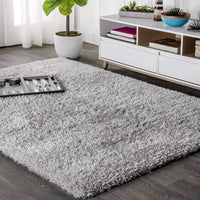 Aydin Plush Shag Mingled Gray/Ivory Soft Area Rug