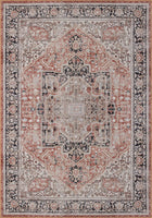 Machine Washable Area Rugs, Persian Vintage Medallion Boho Rug for Living Room Rugs - Stain Resistant & Non-Slip