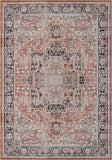 Machine Washable Area Rugs, Persian Vintage Medallion Boho Rug for Living Room Rugs - Stain Resistant & Non-Slip