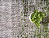 Outdoor Modern Collection Distressed Gradient Transitional Green Area Rug