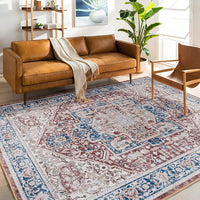 Machine Washable Area Rugs, Persian Vintage Medallion Boho Rug for Living Room Rugs - Stain Resistant & Non-Slip