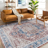 Machine Washable Area Rugs, Persian Vintage Medallion Boho Rug for Living Room Rugs - Stain Resistant & Non-Slip