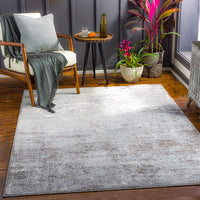 Choukri Modern Abstract Soft Area Rug Light Gray