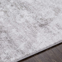 Choukri Modern Abstract Soft Area Rug Grey