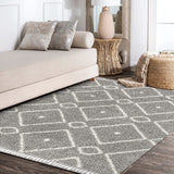 Mercer Shag Plush Tassel Moroccan Diamond Indoor Soft Area Rug Cream/Grey