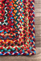 Hand Braided Multi Soft Area Rugs