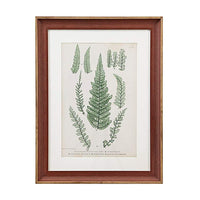 Lady Fern 24 3/4" High 3-Piece Framed Wall Art Set