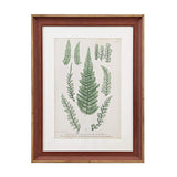 Lady Fern 24 3/4" High 3-Piece Framed Wall Art Set