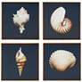 Ocean Seashells 12" Square 4-Piece Canvas Wall Art Set