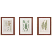 Lady Fern 24 3/4" High 3-Piece Framed Wall Art Set