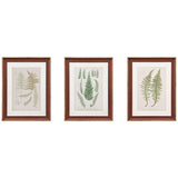 Lady Fern 24 3/4" High 3-Piece Framed Wall Art Set
