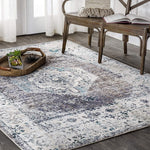 Ankara Vintage Medallion Gray/Ivory Soft Area Rug