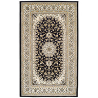 Traditional Design Ivory/Black Area Rug