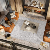 Aydin Plush Shag Mingled Gray/Ivory Soft Area Rug