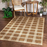 Freja Brown Indoor/Outdoor Flat Weave Pile Buffalo Check Pattern Area Rug