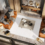 Aydin Plush Shag Mingled Gray/Ivory Soft Area Rug