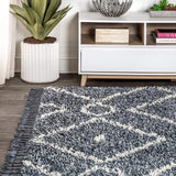 Mercer Shag Plush Tassel Moroccan Diamond Indoor Soft Area Rug Cream/Grey